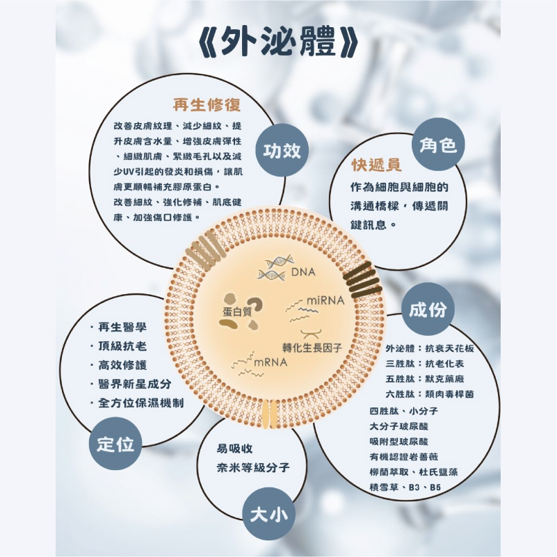 外泌體賦活更新修護面膜
