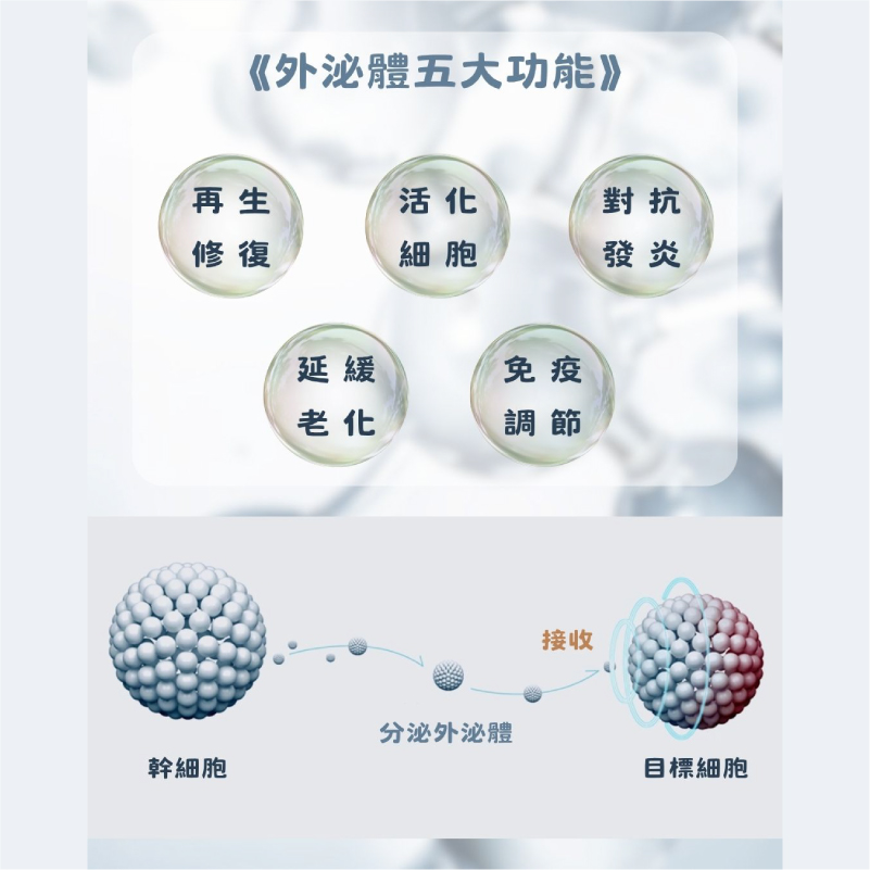 外泌體賦活更新修護面膜